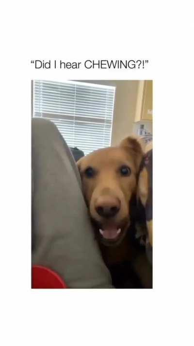 Did I hear chewing?
