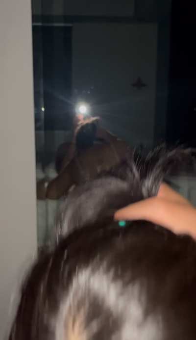 Till you cum inside me daddy