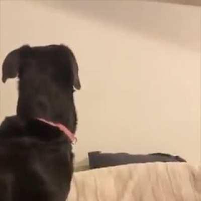 Flat screens are so realistic..