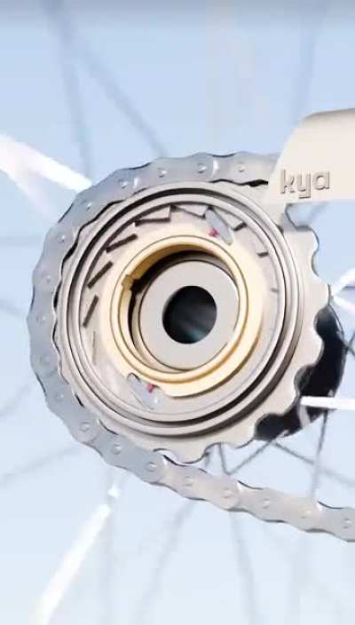 This is how a bike wheel keeps spinning after you stop pedaling