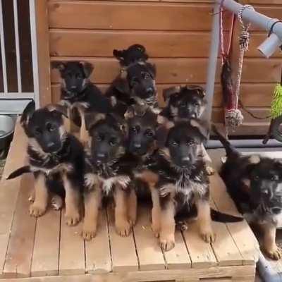 family photo together.😂