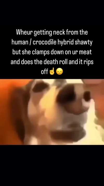 Losercity Crocodile GF