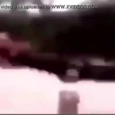 Só brincando com o mamaco