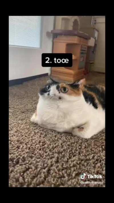 Carti adlibs be like :