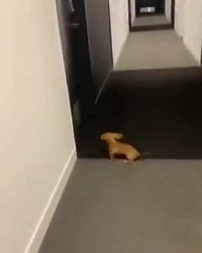 Energy level 100 -> 0