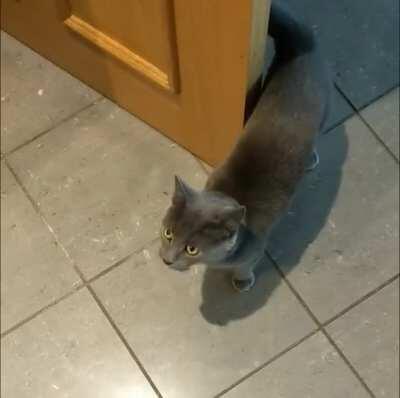 My little one having a chat with me