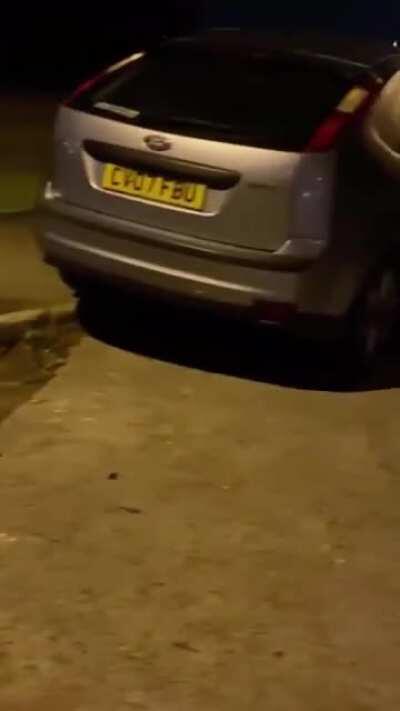 Wedding in Penlan, Wales