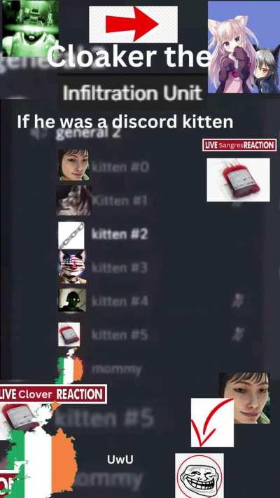 Cloaker if he was a discord kitten