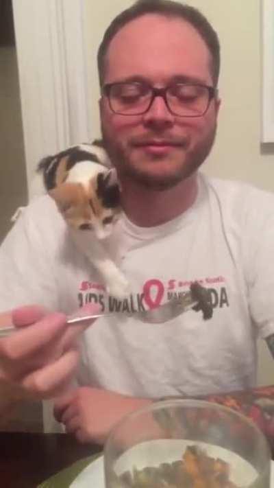 Attempting to sneak food past kitty