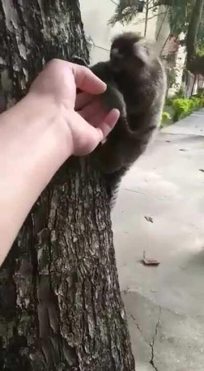 Excuse me ma’am I think you dropped this