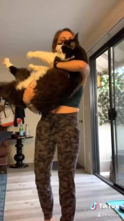 I posted this stupid video of my cat on Tiktok and it got 2 million views.