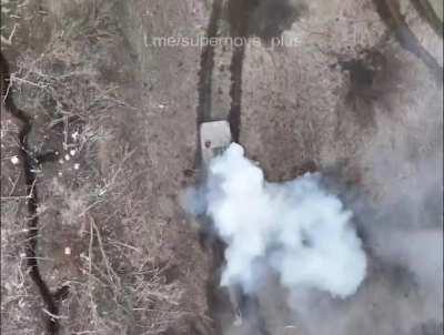 Russian soldiers birth.