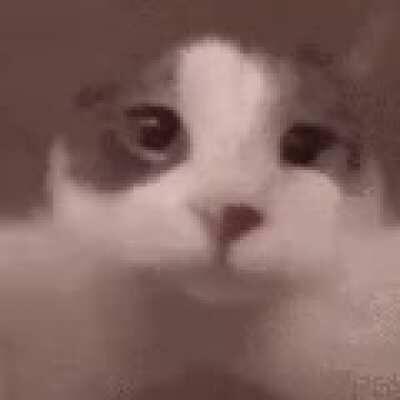 To all the lonely teens today, me included