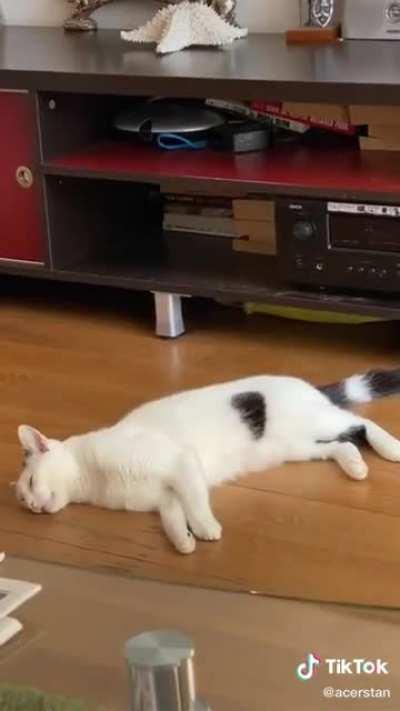 Attacked in her sleep