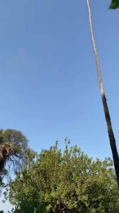 I can hear the sound effects in my head