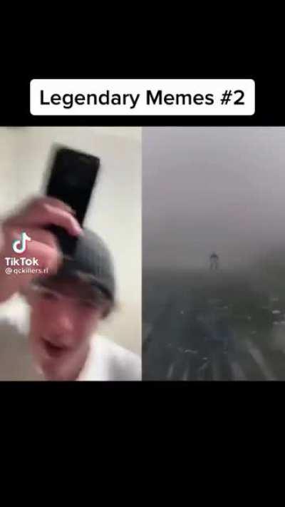 Looks like he likes it