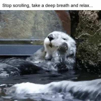 Just relax for a few seconds
