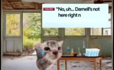 daniel cooking something and calling 911 for it