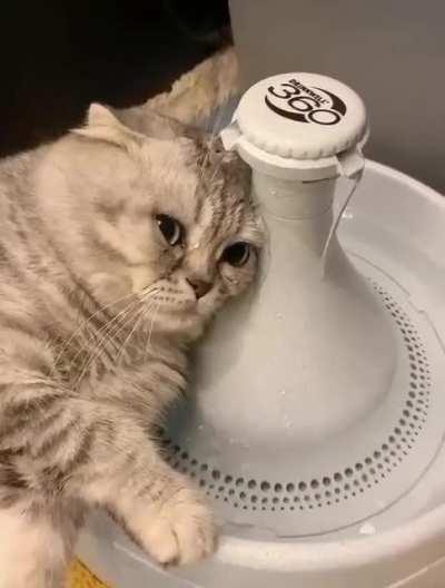 Dude is having it rough