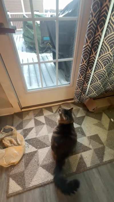 Most of the country is literally freezing, and this guy thinks now is a good time to go outside.