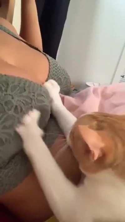 2nd leaked trailer for live action Konosuba movie