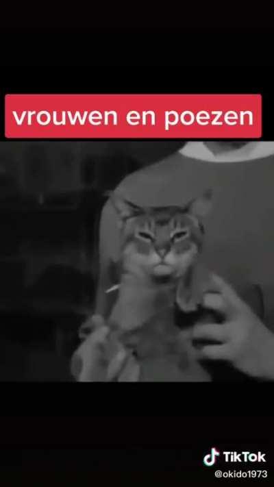 Goe weekend 👍 nie teveel spelen met de poes 🙃