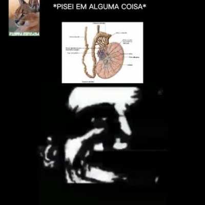 Efeitos sonoros 10/10