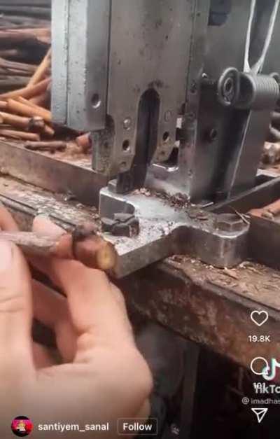 Machine used to graft saplings