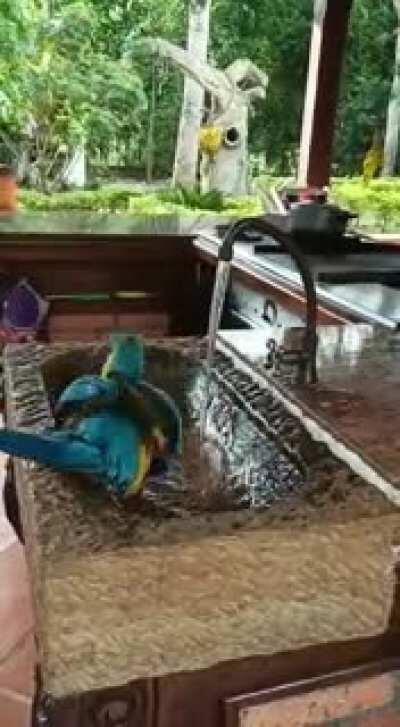 I wasn't done with my shower