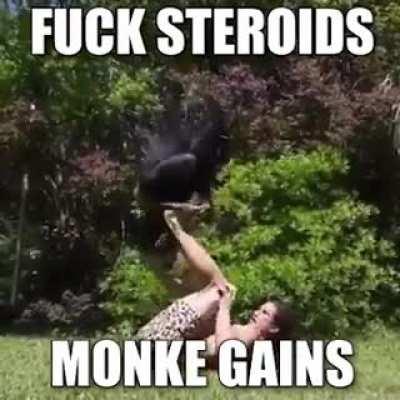 MONKE GAINS