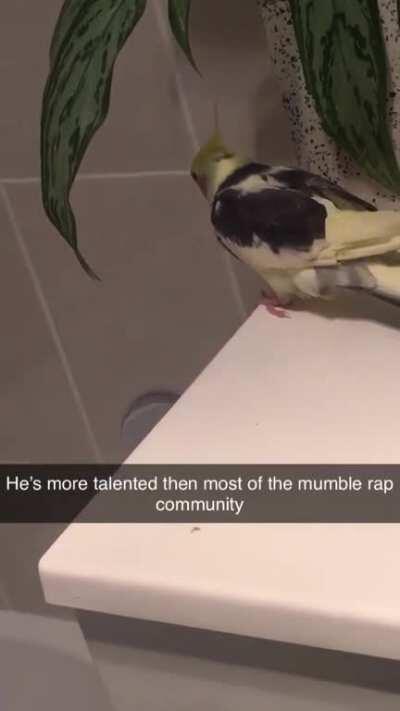 This is buddy and he loves AC/DC.