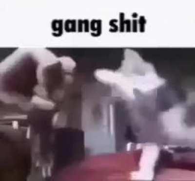 Caturday posting week 4