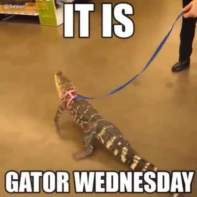 White girl wednesday is CANCELED 😤😈👊