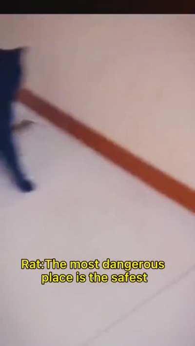 The most unpredicted place is the most safest