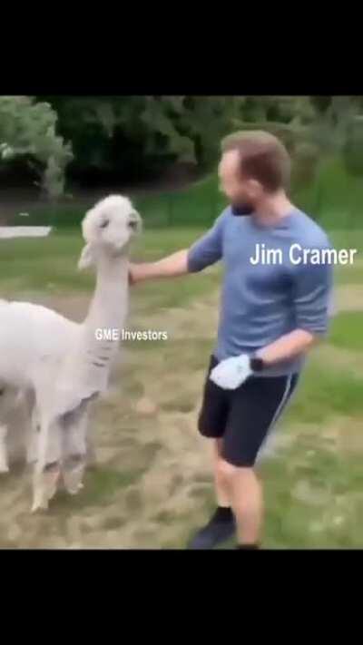 We haven't forgotten