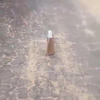 wishing yall a healthy, happy, and prosperous new year!