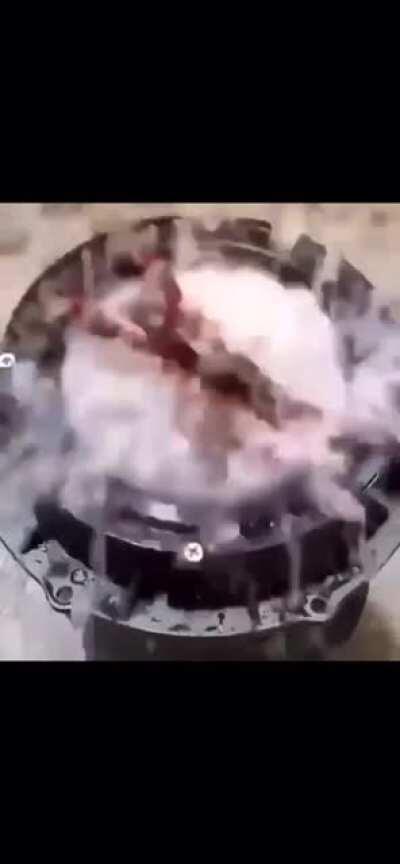 I’m 15 and this is yeet