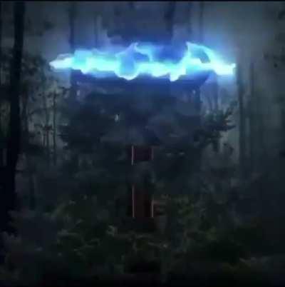 I hate the antichrist