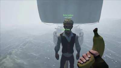 Easily Distracted Pirates