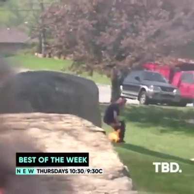 Each of them is dumber than the other.