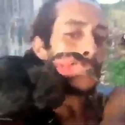 papagaio meio estranho