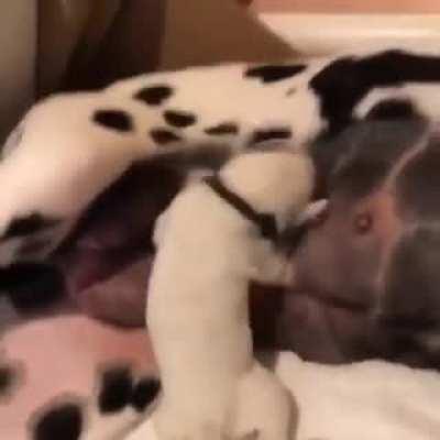 Parenting can be tough!