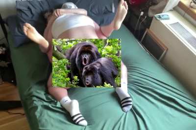 Baboons caught fighting for dominance!!!