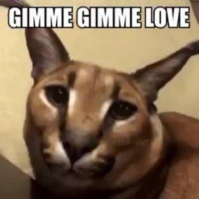 I love his voice so muuch!!