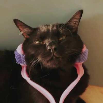 Sirius says, take a break and relax!