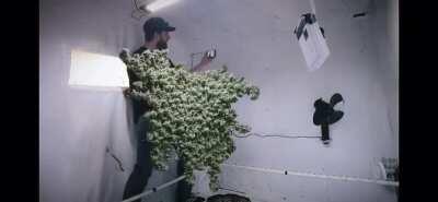 @Northernscrogger on Ig!