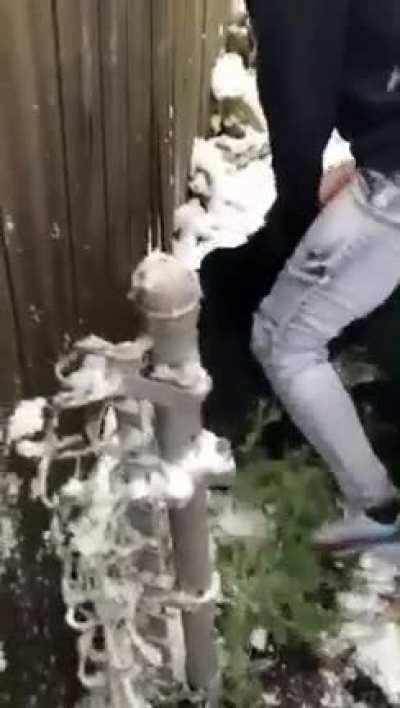 Does this pass as a fight or not?