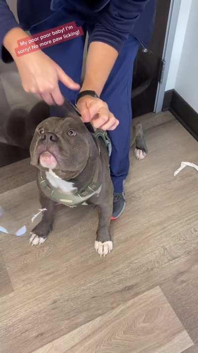 A look of pure distrust