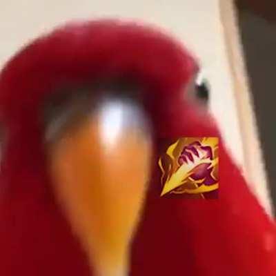 When your 0/10 ADC tries to take your jungle camps