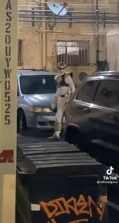 Time to fight a Power Ranger for his Megazord